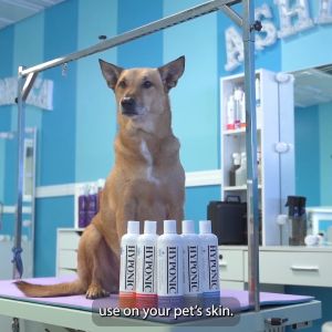 Sữa tắm cho chó cao cấp HYPONIC Hypoallergenic dành cho chó con & chó lông ngắn