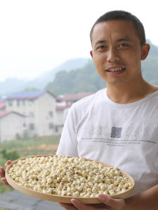 Zhaoliang Peeled White Lotus Seeds Hunan Farmhouse Specialty Coreless Dried Goods from Xiangtan Health Food Supplement