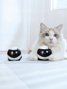 Enabot | Wireless Mobile Remote Control Pet Companion Robot with Camera
