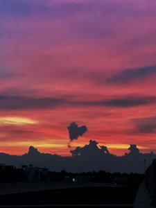 Kìm tuốt dây cắt dây bấm cos đa năng cao cấp LS