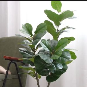 ☘️แถมฟรีหิน กระถาง🍀ความจำลอง 99% ต้นไม้ปลอม สูง 47-95ซม ต้นไม้เทียม สไตล์นอร์ดิก สำหรับตกแต่งบ้านและสวน ต้นไม้ปลอมใหญ่ 9/24/33ใบ ต้นไม้ปลอม-ประดิษฐ์ ต้นไม้มงคลปลอม