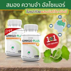 🔥ส่งฟรี ส่งไว🔥 GB Ginkgo Plus-B ช่วยการจดจำด้วย ผลิตภัณฑ์เสริมอาหาร แปะก๊วยผสมวิตามินบี (ซื้อคู่ = 120 แคปซูล)