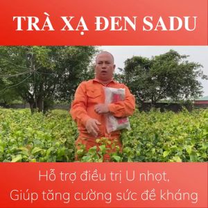 Trà Xạ Đen La Hán Quả  Túi Lọc Sadu I Hỗ Trợ Các Vấn Đề Về Gan I Tăng Cường Chức Năng Gan I Thanh Lọc Cơ Thể Bịch 250g