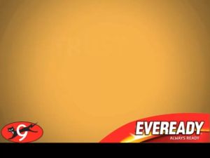 ❤️Original Eveready Gold Alkaline AAA (ZERO ADDED MERCURY AND CADMIUM)