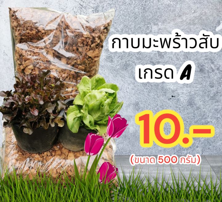 กาบมะพร้าวสับ เกรด AAA โปร่ง ร่วนซุย