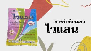 อะซีทามิพริด (ACETAMIPRID) ไวแลน 100 กรัม สารกำจัดเพลี้ย ทุกชนิด