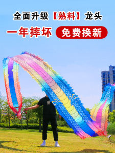 Fitness Dragon Dance Ribbon New Performance Props Square Dance Handheld Dragon Fitness Exercise Colorful Ribbon Performance