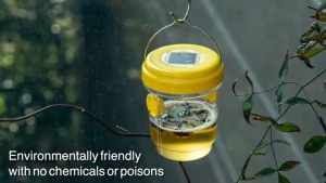 Fruit flies gone! Zero Electricity Bill Solar Fly Trap fruit fly trap Gaya gantung luar perangkap lalat buah Menghalang pembiakan lalat buah fruit fly killer lalat perangkap 果蠅誘捕器