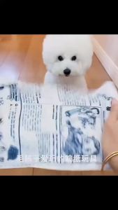 MÔ HÌNH TỜ BÁO VẢI ĐỒ CHƠI CHO CHÓ GẶM MÀI RĂNG CÓ TIẾNG KÊU GIÚP CHÓ CHƠI TRÁNH CẮN PHÁ ĐỒ ĐẠC