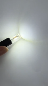 Flashing Strobe T10 W5W LED Bulb 194 WY5W 12V Lens Car Motorcycle License Plate Interior Tail Lamp