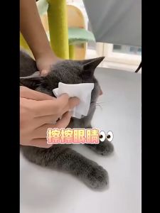 Pet Wipes Dog cat multifunctional grooming wet tissues for cleaning