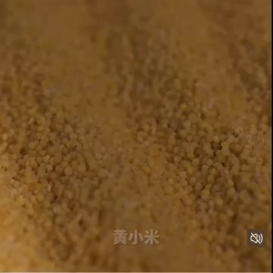 Fang Store Organic Millet 500g Grains Black Rice Black Bean Barley Red Bean 方家铺子有机黄小米红豆黑豆黑米绿豆薏米黄豆糯米