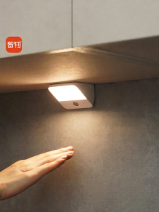 ZHIWU | Motion Sensor LED Smart Light Wireless
