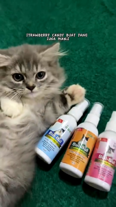 Holycatlabs Parfum Kucing BUL BUL 60ml | Perfume Aman Terjilat Non Alkohol Wangi Sepanjang Hari