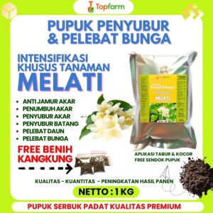 Pupuk Pelebat Bunga Melati / Pupuk Untuk Bunga Melati / Pupuk Penyubur Bunga Melati / Pupuk Bunga Melati / Pupuk Khusus Tanaman Melati