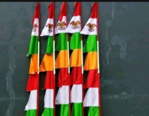 warna warni umbul bendera panjang simbol garuda/umbul zigzag garuda 5 pcs