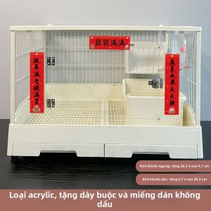 PET AND YOU | Trang Trí Cửa Chào Tết Cho Thú Cưng
