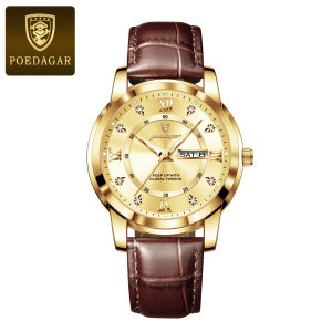 POEDAGAR Top Luxury Man Watch Date Week Waterproof Luminous Leather Men Wristwatch Casual Male Clock Sports Mens Quartz Watches