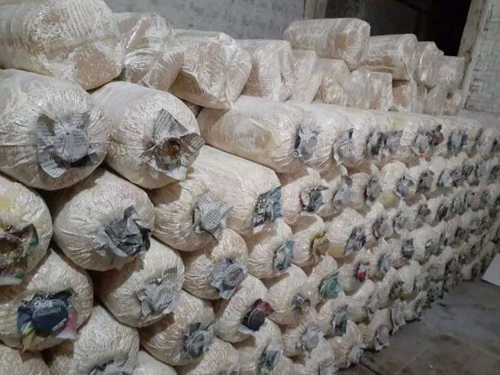 Baglog%20jamur%20tiram%20putih%20murah%20-%20Image%203