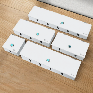 TERIUX | Lockable Pull-Proof Theft-Resistant Switch Socket Protection Box 86-Type