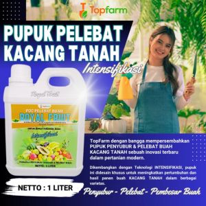 Pupuk Pelebat Buah Kacang Tanah / Pupuk Pembesar Umbi Kacang Tanah / Pupuk Buah Untuk Kacang Tanah / Pupuk Cair Buat Kacang Tanah / Pupuk Kacang Tanah