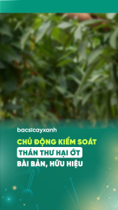Combo Phòng Trị Xì Mủ Thối Nhũn Thán Thư BS01 Chaetomium BS06 Nano Đồng Cho Rau Màu Cây Trồng - Bác Sĩ Cây Xanh