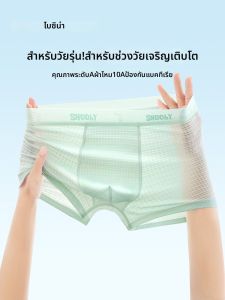 Baisina | Antibacterial Summer Boxer Shorts