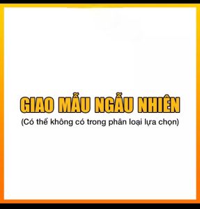Gối Gòn + Vỏ (30X50cm)
