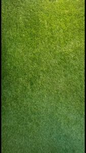 LED ROPE LIGHT MULTI COLOUR (10M)