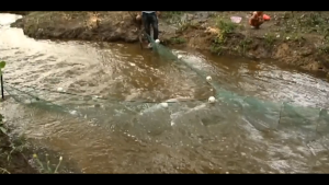 Imported Fish Trap Portable Fish Shrimp Mesh Cage Fishing Trap Network Foldable River Blocking Net