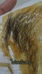 แว๊กซ์กำจัดขน แว็กขนรักแร้ แว็กซ์กำจัดขน ขา แขน แว๊กซ์กำจัดขนน้องสาว Bikini wax แว๊กขน Hair removal wax