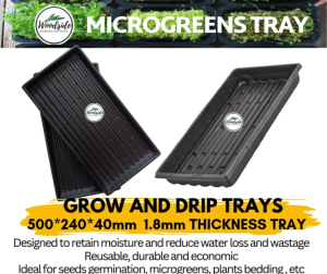 Seeds Germination/Propagation Tray Seedling Tray for Germination of Microgreens Vegetable/Herbs & Fruits Siip from Sg