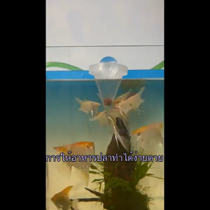 GUOUQNA  ตะกร้าพิพิธภัณฑ์สัตว์น้ำใหม่ให้อาหารปลาสดหนอนเลือดกรวยฟีดเครื่องมือ