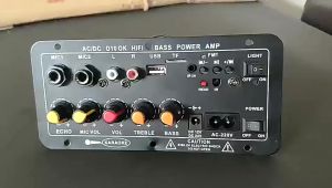 New 5.0 Bluetooth 8-12 Inch Subwoofer Amplifier Board with Dual Microphone Karaoke Function and Remote Control