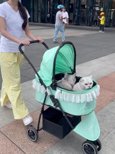 BOSIMAO | Detachable Foldable Lightweight Pet Stroller