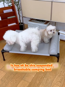 Elevated Mesh Pet Cot for Small Medium Dogs All Season Breathable Cot Removable Cover Moisture Proof Summer Pet Bed