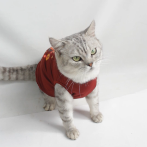 Baju Kucing Anjing Cowok Cewek Lucu Bulu Kecil - Bukipet Chinese New Year Tank 2026