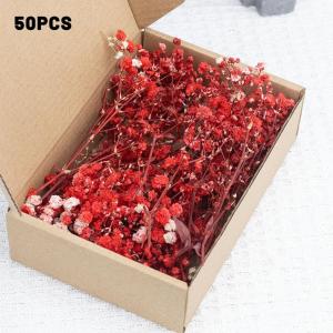 50 Pieces Dry Flowers Gypsophila Floral Arrangement Dried Flower Eternal Flower Creative DIY Home Wedding Decoration Gift