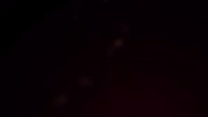 Tripod Zomei Q120 & Q188: Pilihan Profesional untuk DSLR & Smartphone