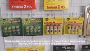 【New Product Discounts】50PCS Insect Bug Fly Glue Paper Catcher Trap Ribbon Tape Strip Sticky Flies Indoor Fly Ribbons Fruit Fly Traps for Indoors and Outdoors Bug Trap for Winged Insects Set of 10 ﻿