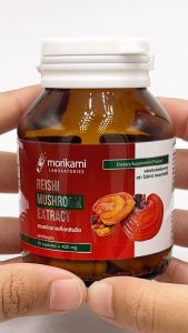 ของขวัญผู้ใหญ่ เห็ดหลินจือ x 1 ขวด สารสกัดจากเห็ดหลินจือ โมริคามิ หลินจือ Reishi Mushroom Extract Morikami ของฝากผู้ใหญ่