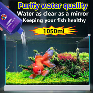 nitrobacteria Purify water quality Water as clear as a mirror nitrifying bacteria Keeping your fish healthy Nitrobacter algae remover 硝化细菌 硝化菌