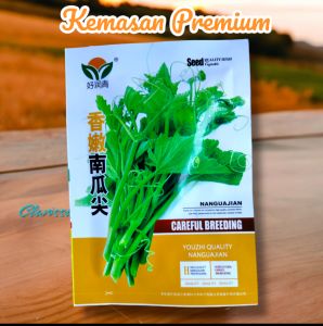 (KEMASAN PREMIUM) BIJI/BENIH TANAMAN PUCUK LABU IMPORT