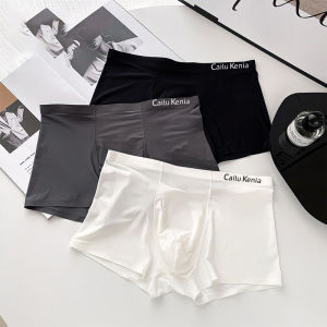 Men's Ice Silk Underwear: 2024 New Arrival & Trendy Seamless Underpants