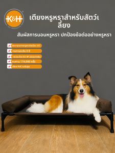 เตียงนอนแบบลำลองสำหรับสัตว์เลี้ยง ที่นอนกันน้ำสำหรับแมวและหมาขนาดใหญ่ โครงเหล็ก ระบายอากาศได้ดี ที่นอนสัตว์เลี้ยงพิเศษสำหรับฤดูร้อน