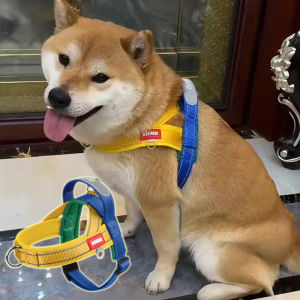 FENGCAO | Adjustable Saddle Style Dog Leash