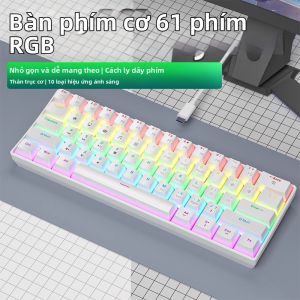 Bàn Phím Cơ Chơi Game NexusClick 61 Phím RGB ABS Keycaps Mini Di Động Thể Thao Điện Tử Có Dây Type-C Dành Cho Máy Tính Để Bàn Máy Tính Xách Tay Máy Tính Bảng