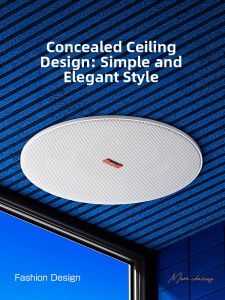 Aigo | Wireless Bluetooth Ceiling Speaker Commercial Use