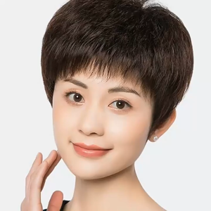 Short Wig for Women Full Head Real Human Hair Short Straight Hair Middle-aged and Elderly Ladies Natural Mom Wig