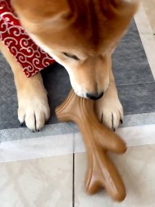 Đồ chơi thanh nhai gặm cho chó hình gạc nai bằng gỗ thông – Đen Ta pet shop
